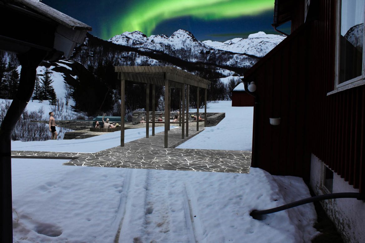 Hage på Seiland