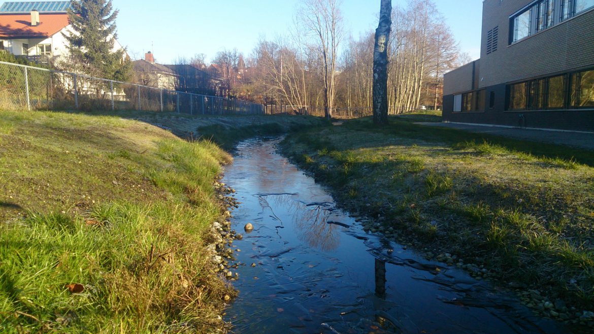 Bleiker videregående skole